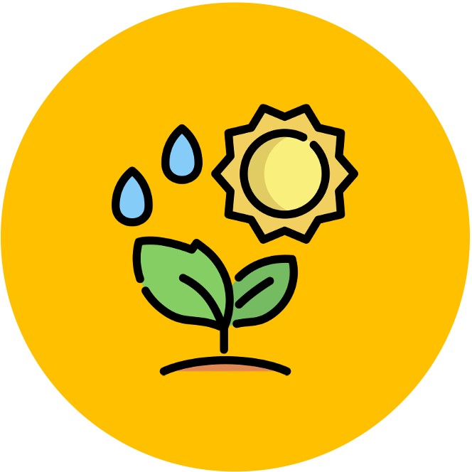 Feeding Pathways feeding-pathways